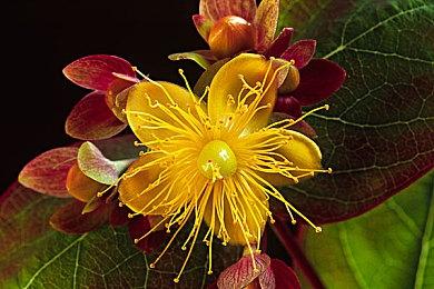 卖掉多家工作室后 SE又寻求建立和收购游戏开发商